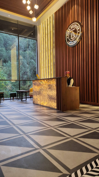 Cover photo of PINE NEEDLES